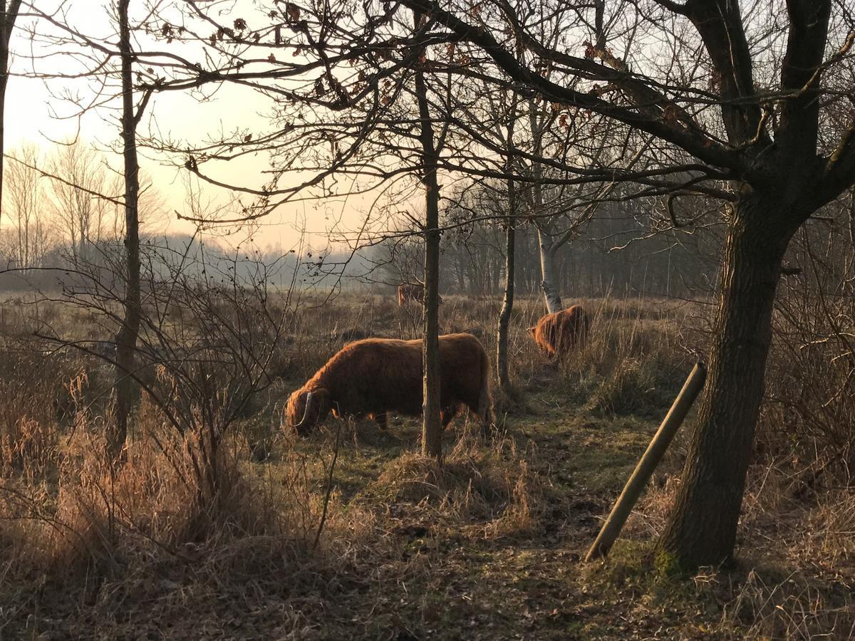 Carlton Oasis Hotel Spijkenisse Dış mekan fotoğraf